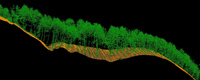 Cross section of point cloud for forest area
